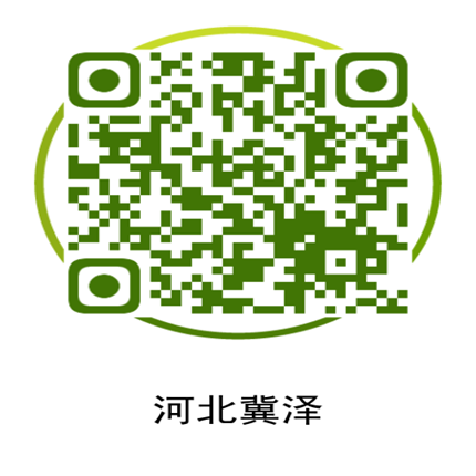 美彩国际